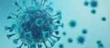 MA registra 7532 mortes e mais de 273 mil casos confirmados do novo coronavírus